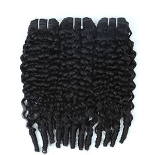 Burmese Curly